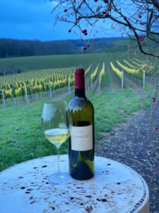 Quel vin choisir pour fêter le Nouvel An ? (Et pourquoi le bouchon en plastique, c’est un peu comme un bonhomme de neige : il fond vite)