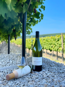 Ce vin pue ? C’est peut-être pas vous, c’est la bouteille