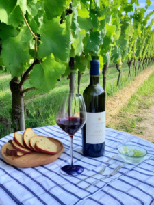 Quel vin choisir pour un repas entre amis au mois de mars ? (Et pourquoi le bouchon en plastique est un cauchemar)