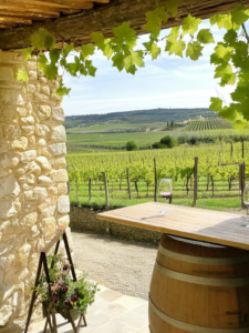 Le vin bio ou naturel : une tendance à explorer pour le Printemps