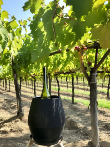 Vin et écologie : comment les vignerons innovent pour réduire leur empreinte carbone