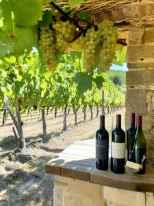 Le vin régénérateur : comment les vignerons français protègent la biodiversité